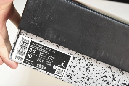 Hyperoad RETRO THE 'WHAT 4' AIR 4 JORDAN SE 1029